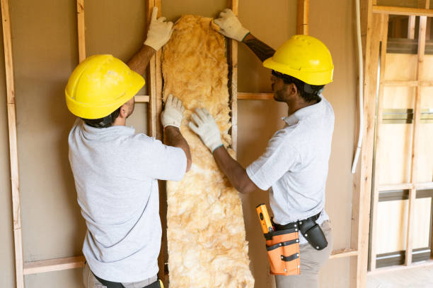 Professional Insulation Removal & Installation in Tracy, MN